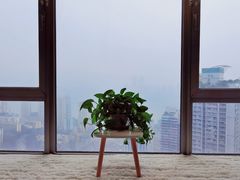 -人民解放纪念碑