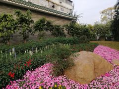 -晓港公园