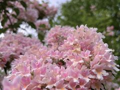 -中华世纪坛-停车场