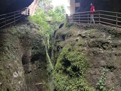 -江西阳明山国家森林公园