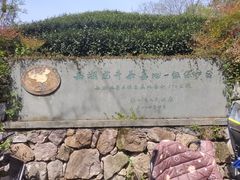 -龙井村