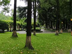-温江公园