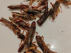 -青岛蓝海御华大饭店（金沙滩店）·蓝钻国际美食自助百汇