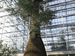 -南山植物园