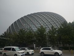 -凤凰中心