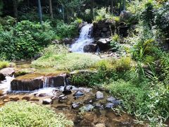 -大围山国家森林公园