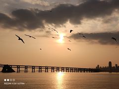 -星海广场