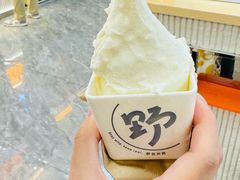 -野人先生现做冰淇淋(西安赛格店)