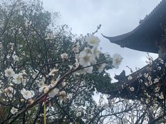-钱王祠
