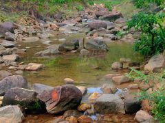 -广州白江湖森林公园