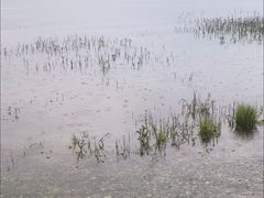 -大理洱海