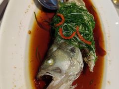 清蒸桂鱼&nbsp;斤-南景饭店(万家丽路店)