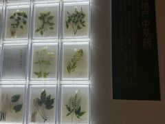 -广东中医药博物馆