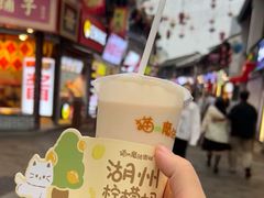 -猫的魔法密林(衣裳街店)