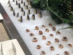 -太湖饭店玉兰厅(自助餐厅)