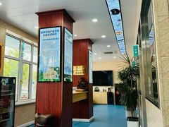 -东日国际动物医院·CT·心脏专科(桃源分院)