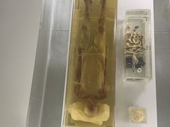 -荆州博物馆