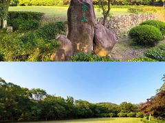 -白马涧龙池景区
