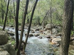 -玉渡山自然风景区