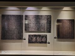 -白鹤梁水下博物馆