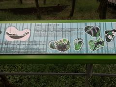 -西湖风景区-江洋畈生态公园