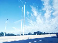 -武清南湖绿博园