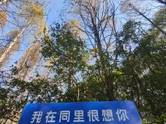 -同里国家湿地公园