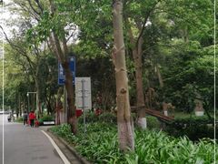 -火炉山森林公园