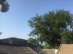 景观位-后海16号·北京私房菜