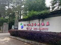 -小小饭店·休闲农庄·安吉松树林里的农家菜