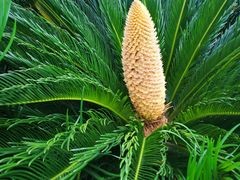 -369美食(清凉峡路店)