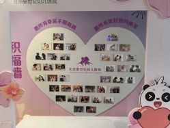 -北京新世纪妇幼医院·产检·分娩·计生(望京院区)