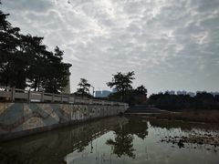 -中澳友谊花园