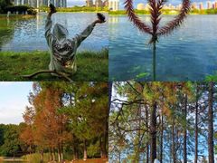 -白塘生态植物园