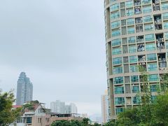 -野萃山·潮汕厚果汁(十亩地店)