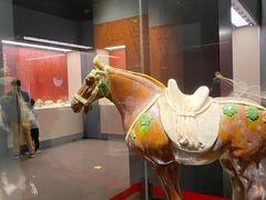 -珠海市博物馆