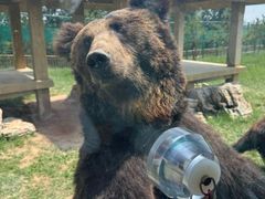 -鄂尔多斯野生动物园