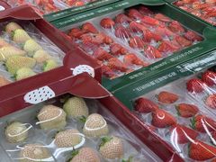 -山姆会员商店(杨桥西路店)