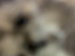 -蛙舍·炭烧牛蛙(东百中心店)