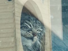 -青藏高原野生动物园