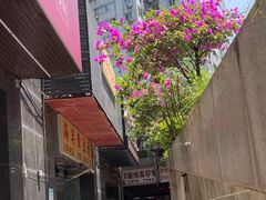 -海关荤豆花(洋河一路店)