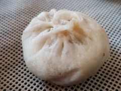 -桐香园小笼包(百井坊巷店)