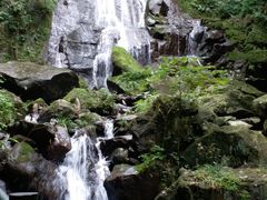 -藏龙百瀑风景区