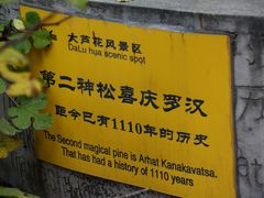 -大芦花风景区