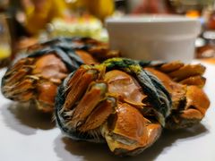 -武汉世茂希尔顿酒店·汇·全日餐厅