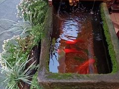-赤宴·川菜(玉林店)