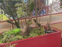 -花漫里餐厅(刺桐店)