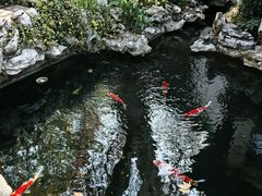 -鲤院·新中式美学·庭院餐厅(夫子庙店)