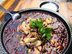 -蜀渔轩美蛙鱼火锅(郫筒店)