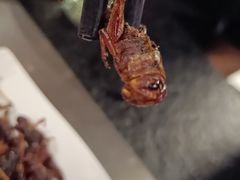 -嘚色烧烤（东北烤串）(石溪店)